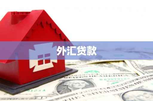 沙坪坝外汇贷款
