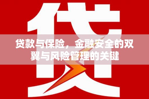 暖暖贷款与保险，金融安全的双翼与风险管理的关键