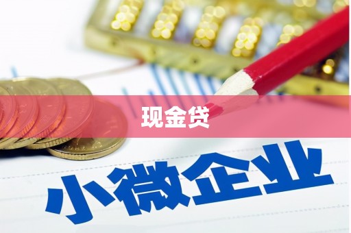 宁晋现金贷
