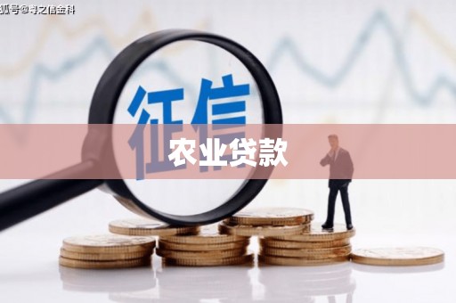 乐东农业贷款