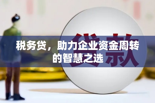铜仁税务贷，助力企业资金周转的智慧之选