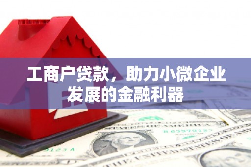 鸡东工商户贷款，助力小微企业发展的金融利器