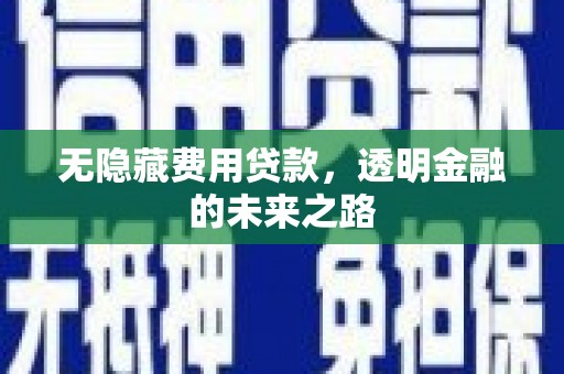 蒙阴无隐藏费用贷款，透明金融的未来之路
