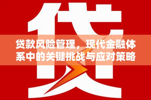 清流贷款风险管理，现代金融体系中的关键挑战与应对策略