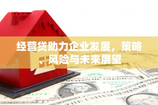 无极经营贷助力企业发展，策略、风险与未来展望