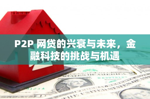 罗东P2P 网贷的兴衰与未来，金融科技的挑战与机遇