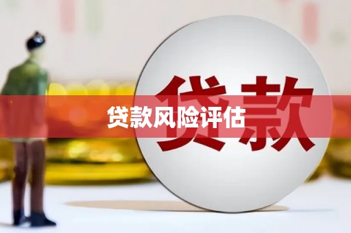 福建贷款风险评估