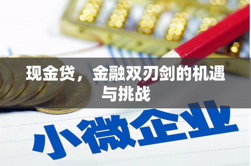 府谷现金贷，金融双刃剑的机遇与挑战