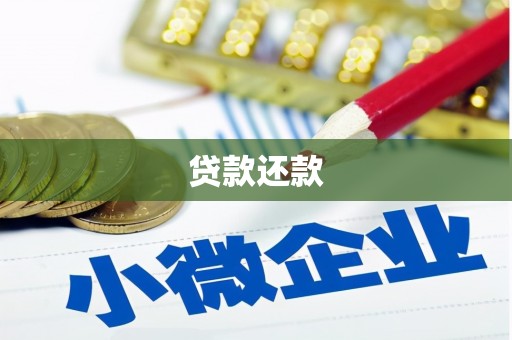 田家庵贷款还款