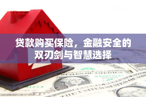 凉山贷款购买保险，金融安全的双刃剑与智慧选择