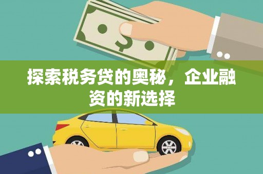 阿勒泰探索税务贷的奥秘，企业融资的新选择