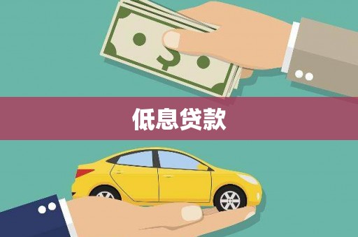 埌东低息贷款
