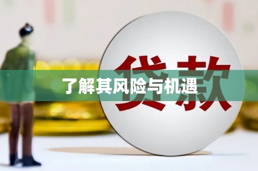 武安了解其风险与机遇