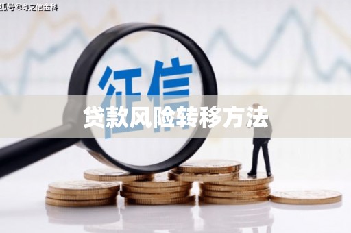 台西贷款风险转移方法 台西贷款风险转移方法