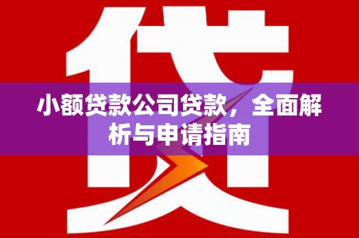 硚口小额贷款公司贷款，全面解析与申请指南