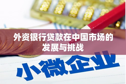 雅安外资银行贷款在中国市场的发展与挑战