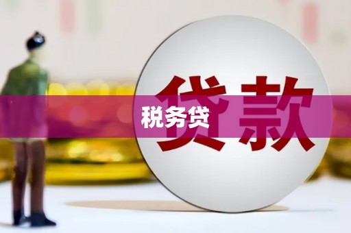 南山税务贷