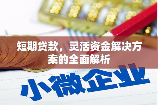 芬园短期贷款，灵活资金解决方案的全面解析