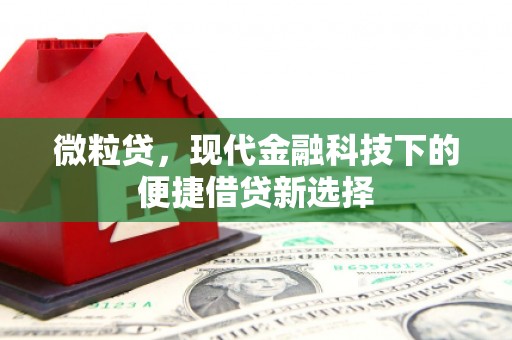 芬园微粒贷，现代金融科技下的便捷借贷新选择