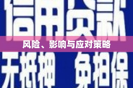 兴城风险、影响与应对策略