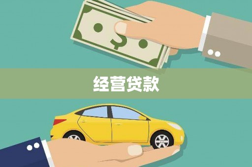 奎文经营贷款