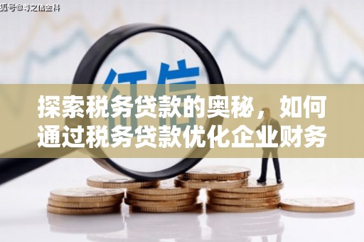 达拉特旗探索税务贷款的奥秘，如何通过税务贷款优化企业财务