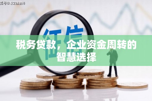 墨江税务贷款，企业资金周转的智慧选择