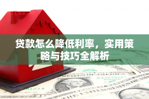 元谋贷款怎么降低利率，实用策略与技巧全解析