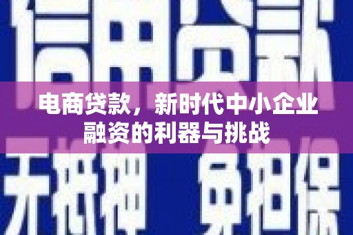 泸定电商贷款，新时代中小企业融资的利器与挑战