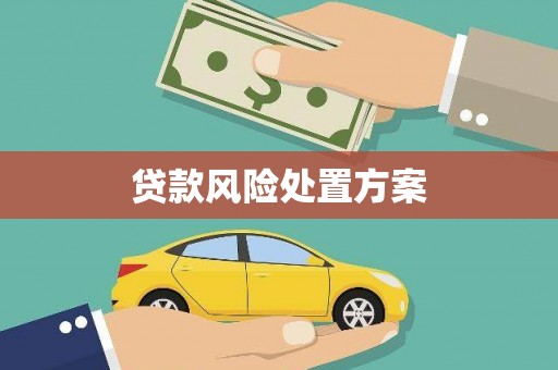 云龙贷款风险处置方案