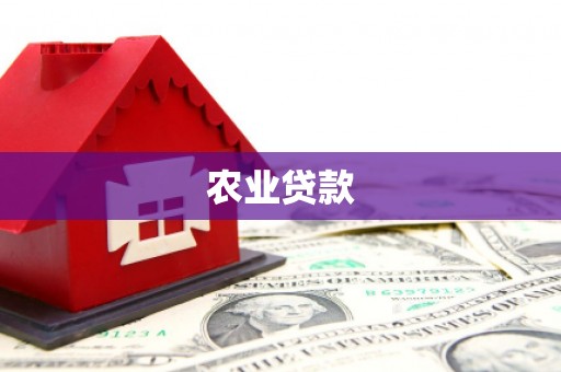 中区农业贷款