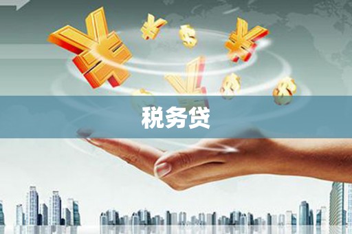 红星税务贷
