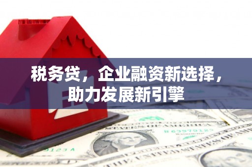 息县税务贷，企业融资新选择，助力发展新引擎