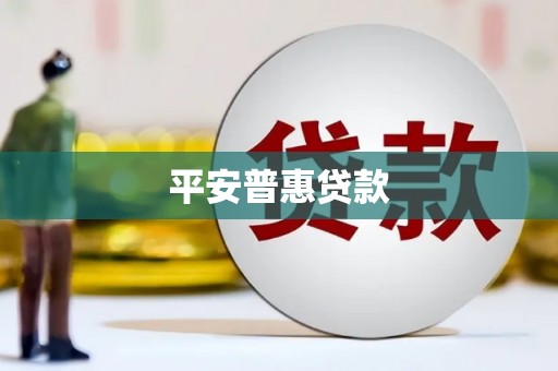 徐闻平安普惠贷款