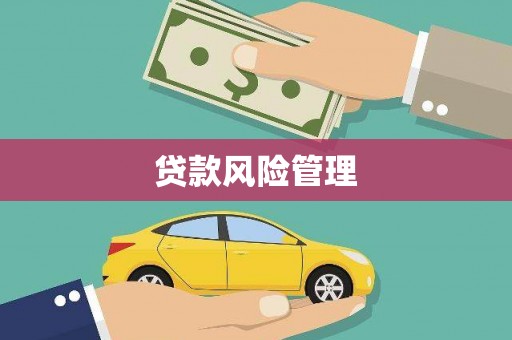 黔西南贷款风险管理