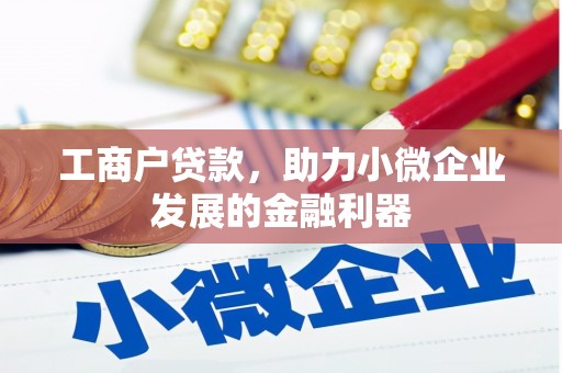 长丰工商户贷款，助力小微企业发展的金融利器