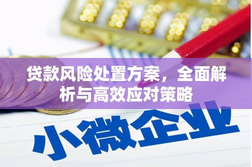 临海贷款风险处置方案，全面解析与高效应对策略