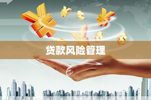 山上贷款风险管理