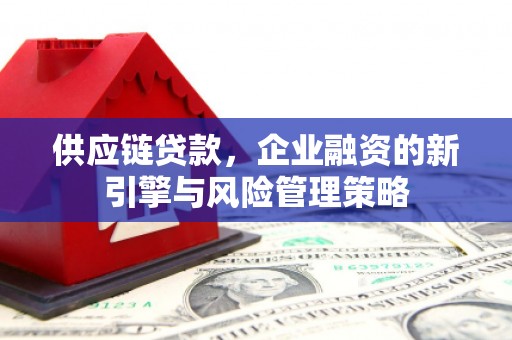 桦南供应链贷款，企业融资的新引擎与风险管理策略
