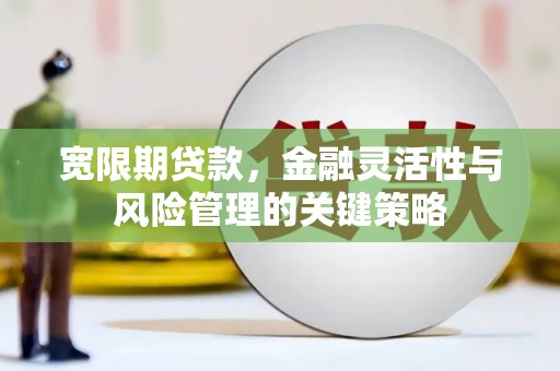 竹南宽限期贷款，金融灵活性与风险管理的关键策略