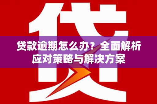 岳阳贷款逾期怎么办？全面解析应对策略与解决方案