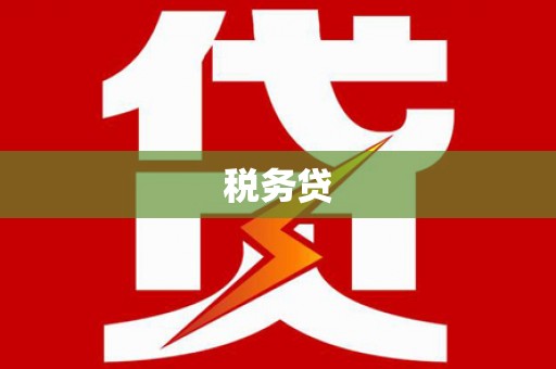 金城税务贷