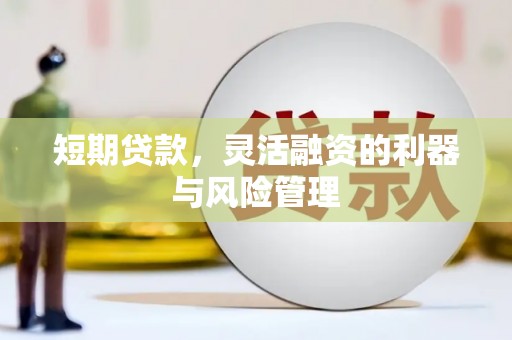 玛纳斯短期贷款，灵活融资的利器与风险管理