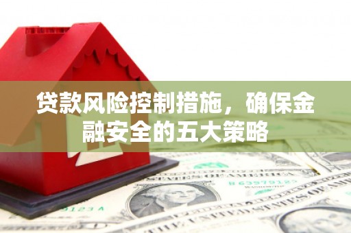 梅里斯贷款风险控制措施，确保金融安全的五大策略