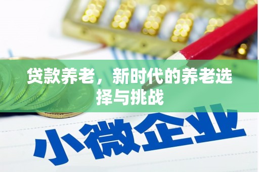 泰顺贷款养老，新时代的养老选择与挑战