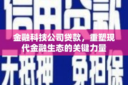 彝良金融科技公司贷款，重塑现代金融生态的关键力量