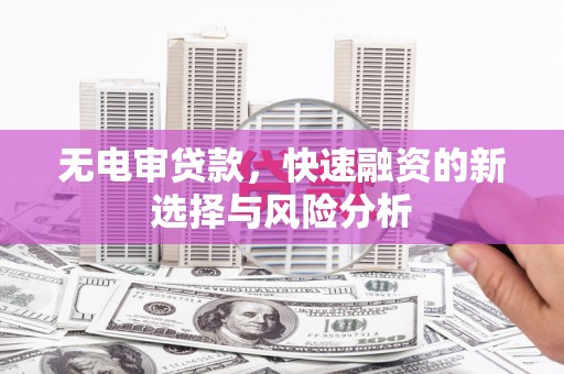 大树无电审贷款，快速融资的新选择与风险分析