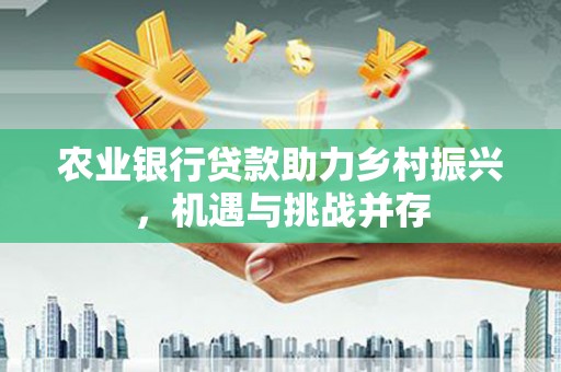 北塘农业银行贷款助力乡村振兴，机遇与挑战并存