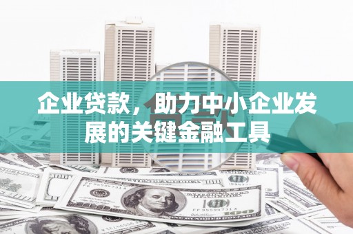 沈丘企业贷款，助力中小企业发展的关键金融工具