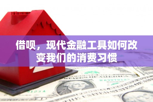铁锋借呗，现代金融工具如何改变我们的消费习惯